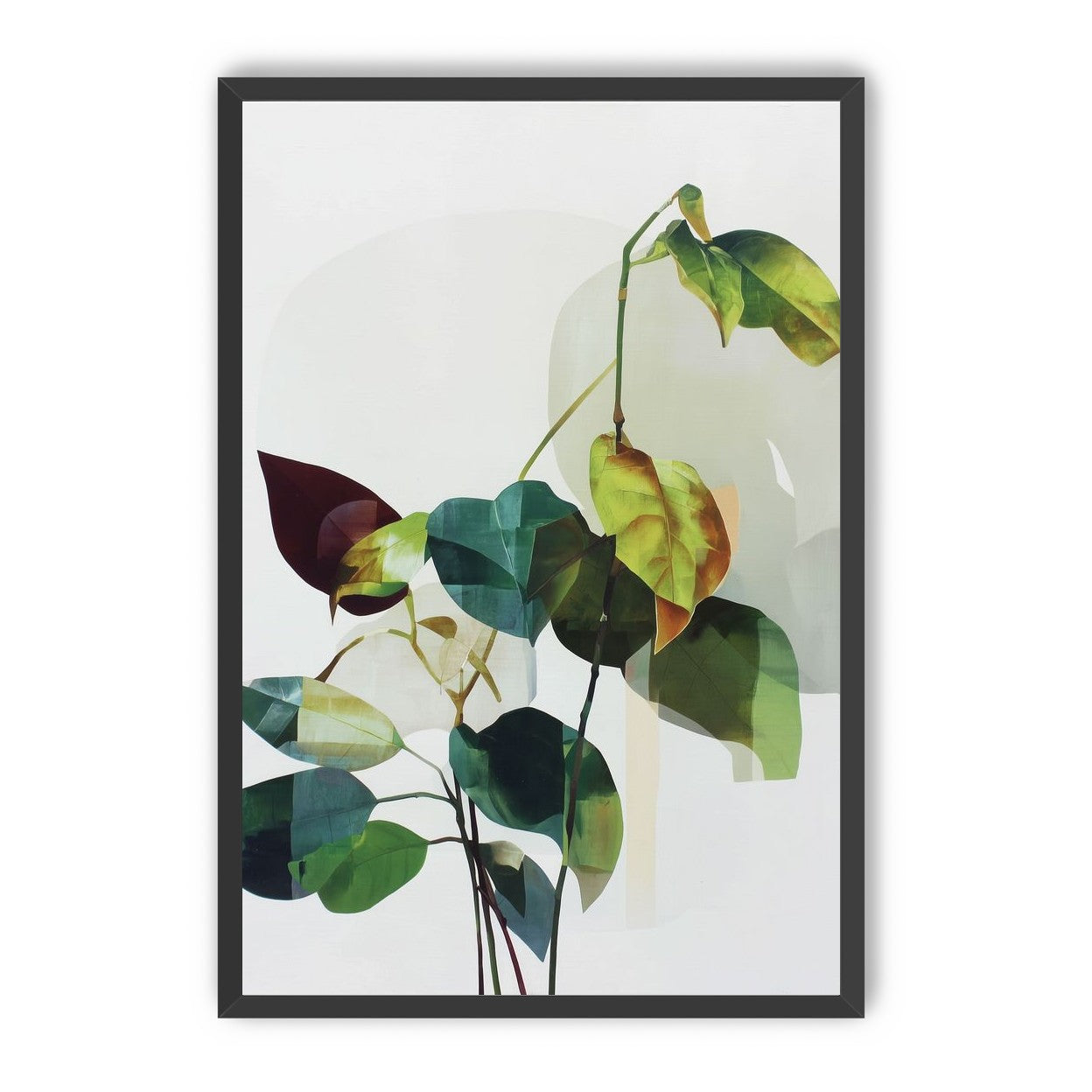 Leaves within pale shadows