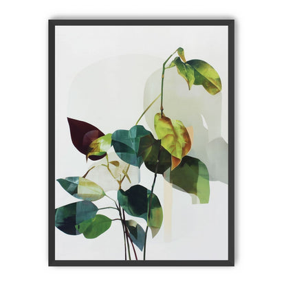 Leaves within pale shadows
