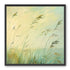 Windbent beach grass sky