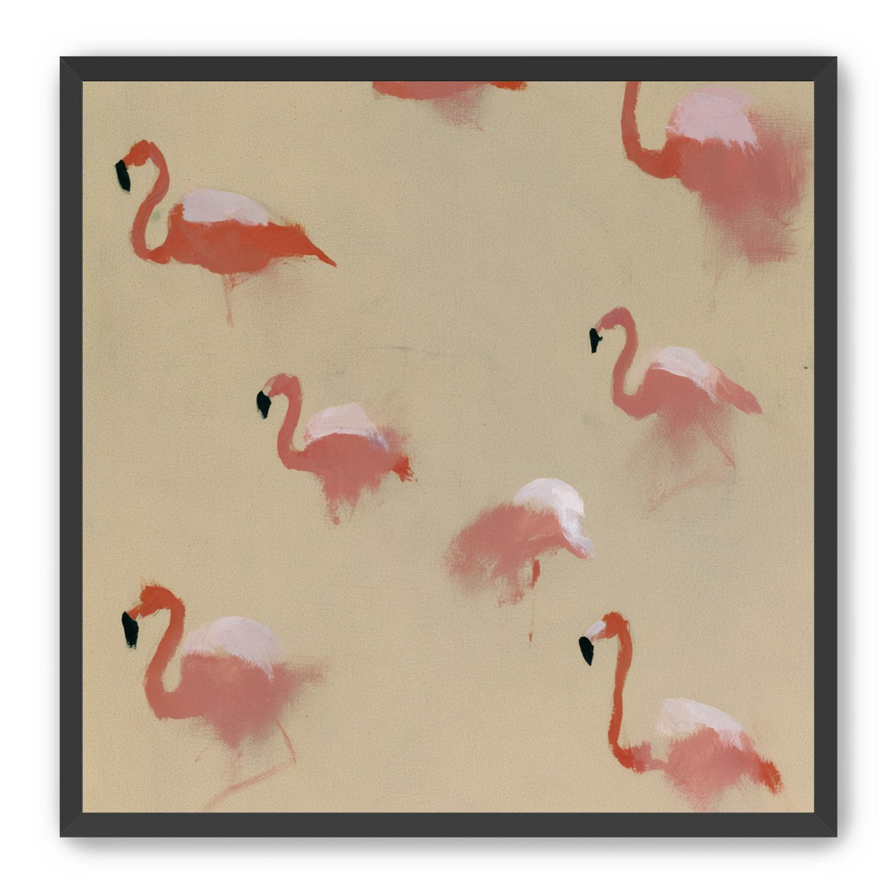 Flamingos in quiet drift