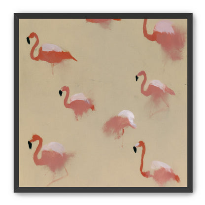 Flamingos in quiet drift