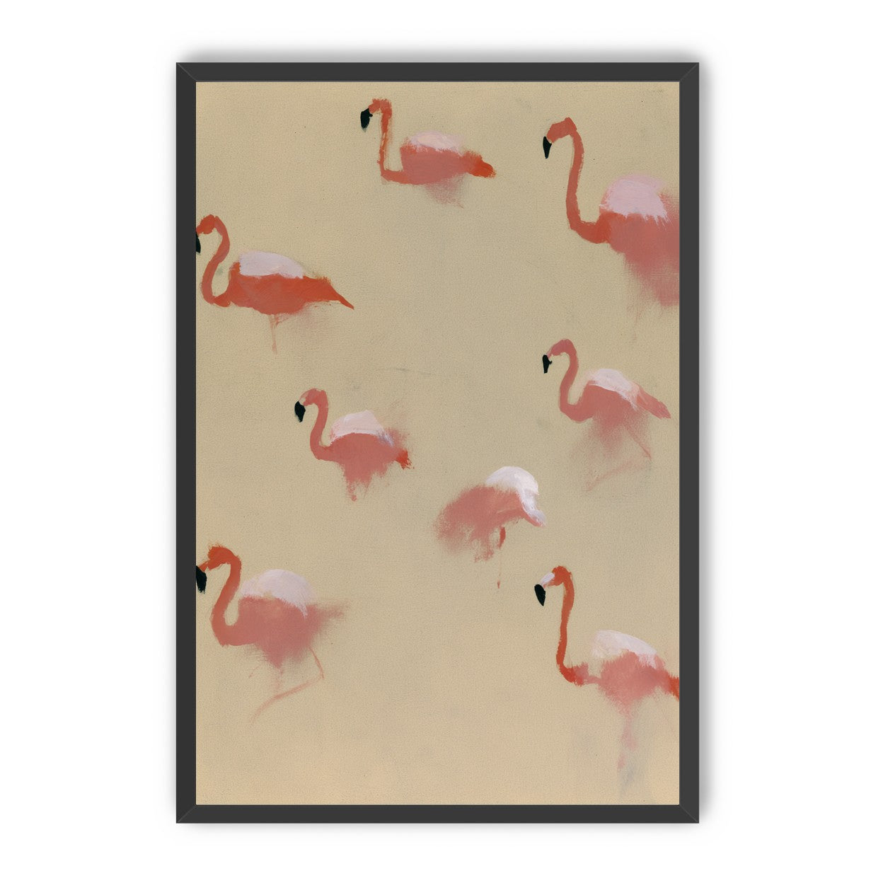 Flamingos in quiet drift