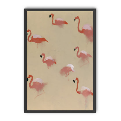 Flamingos in quiet drift