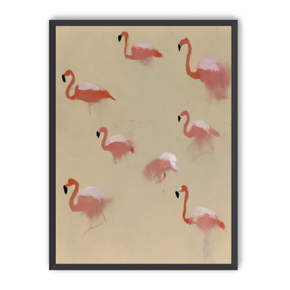 Flamingos in quiet drift