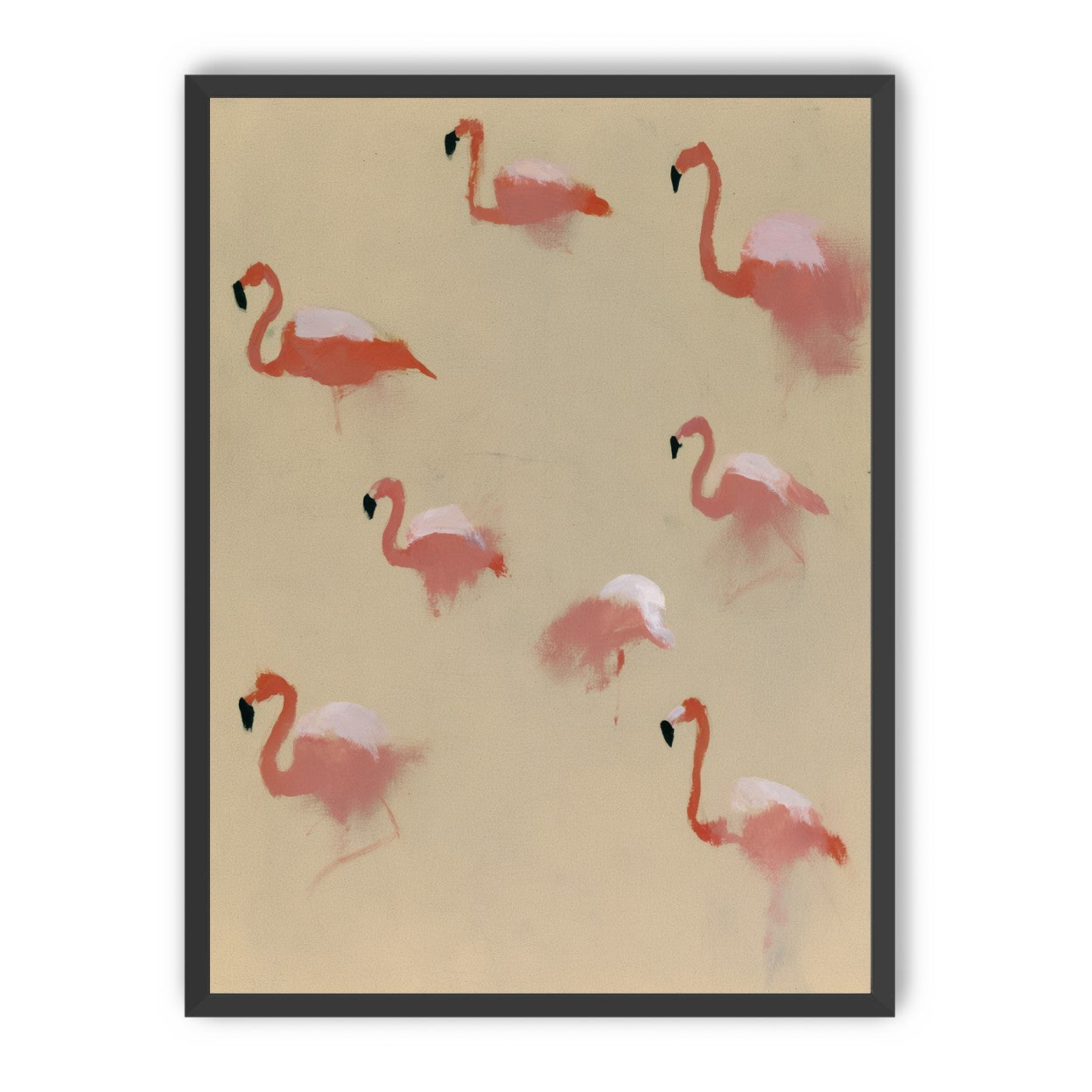 Flamingos in quiet drift