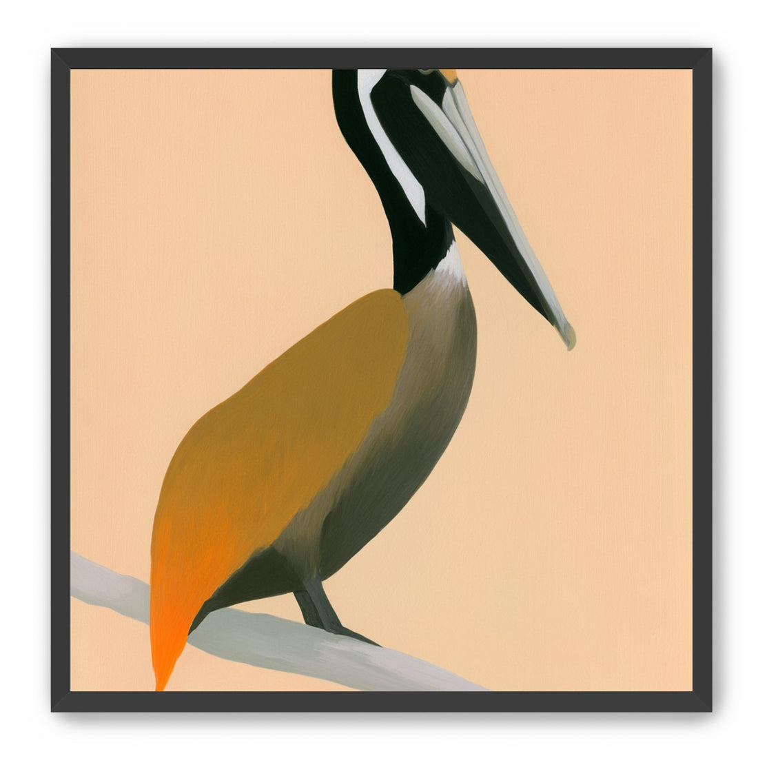 Pelican in peach light