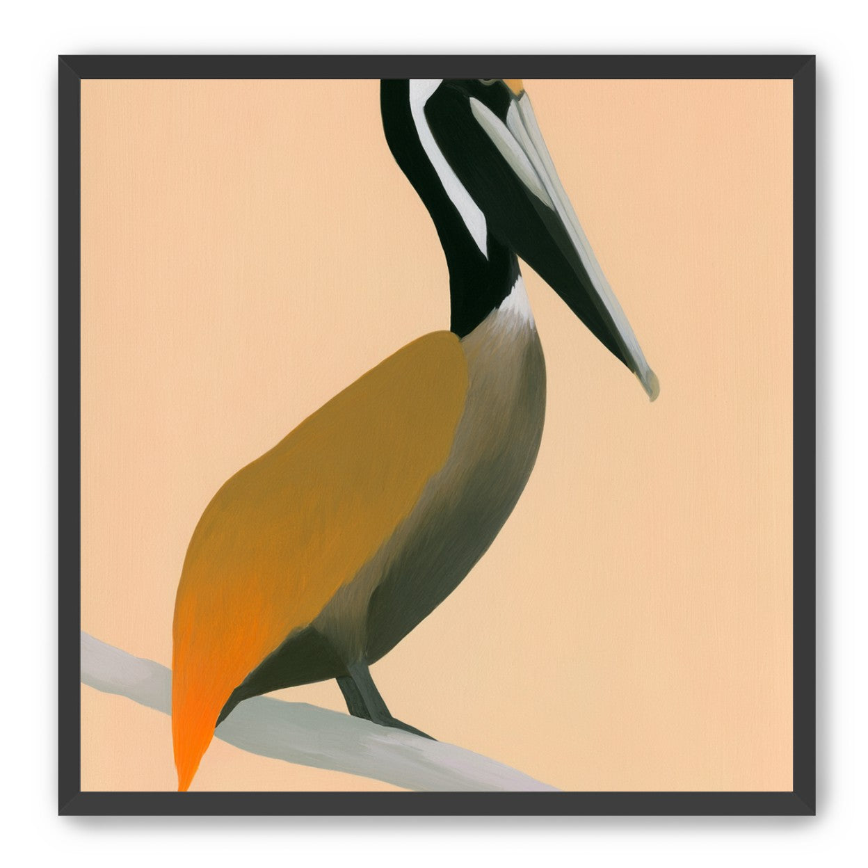 Pelican in peach light