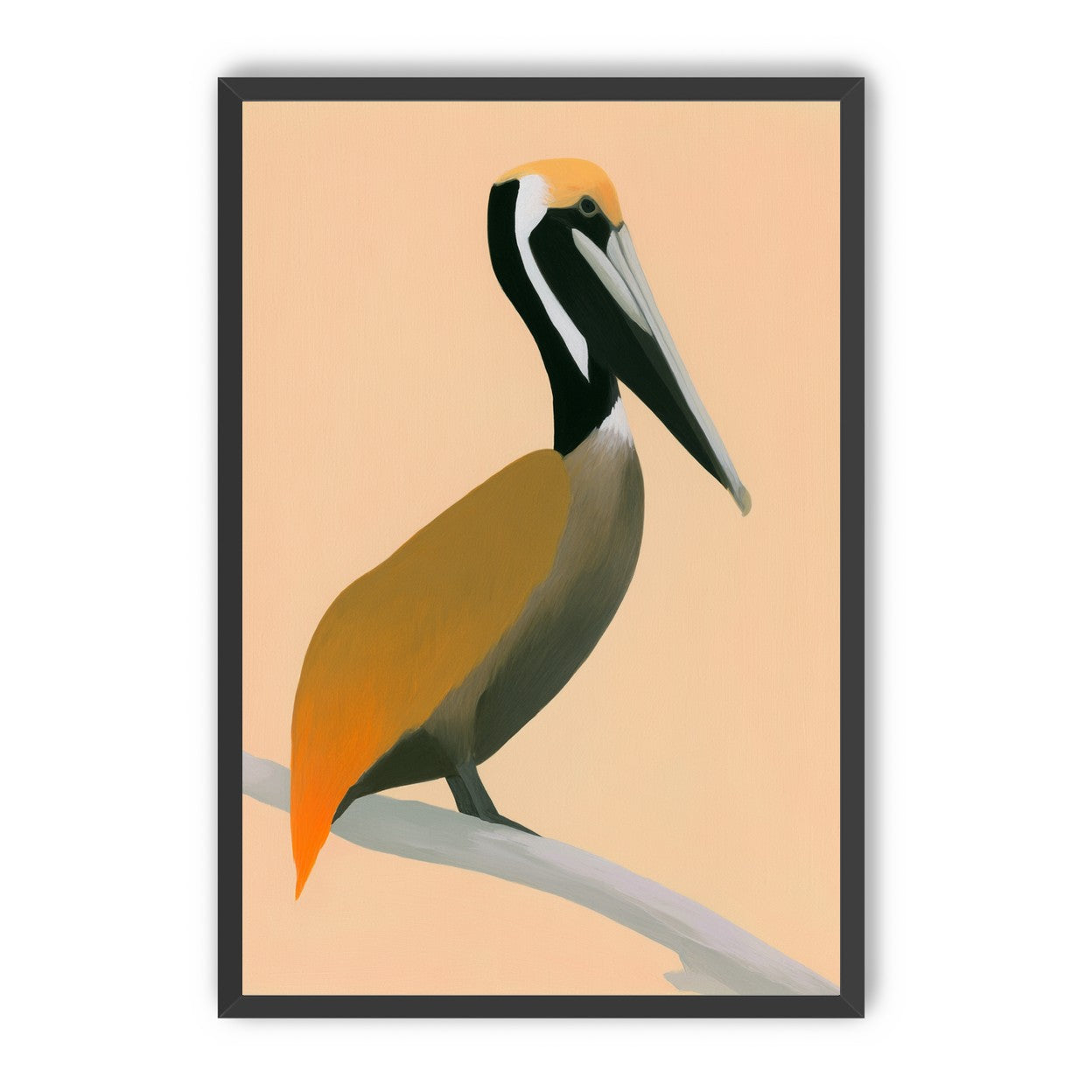 Pelican in peach light