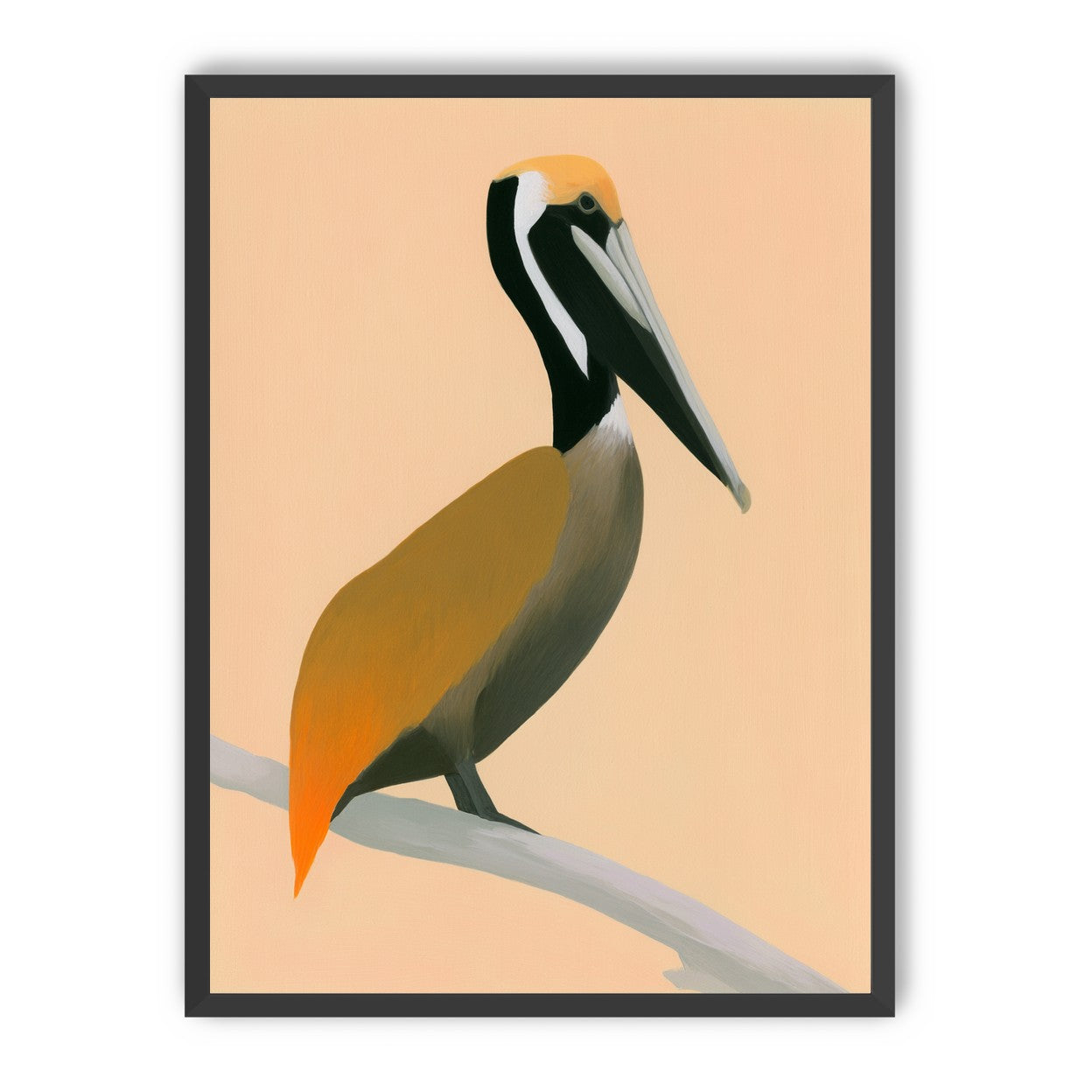 Pelican in peach light