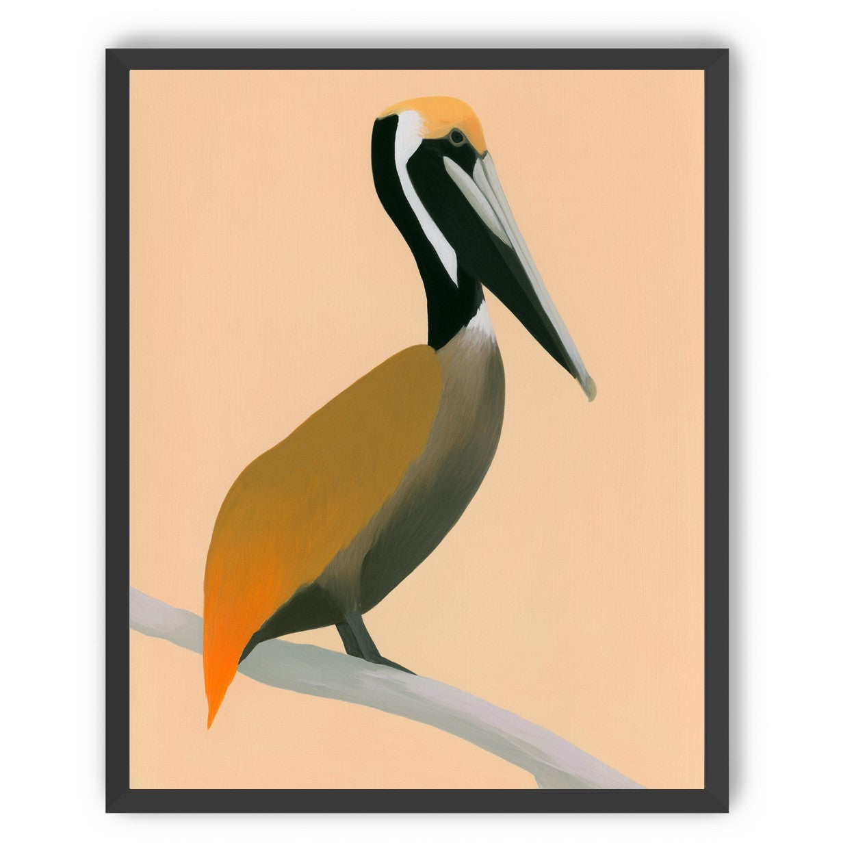 Pelican in peach light