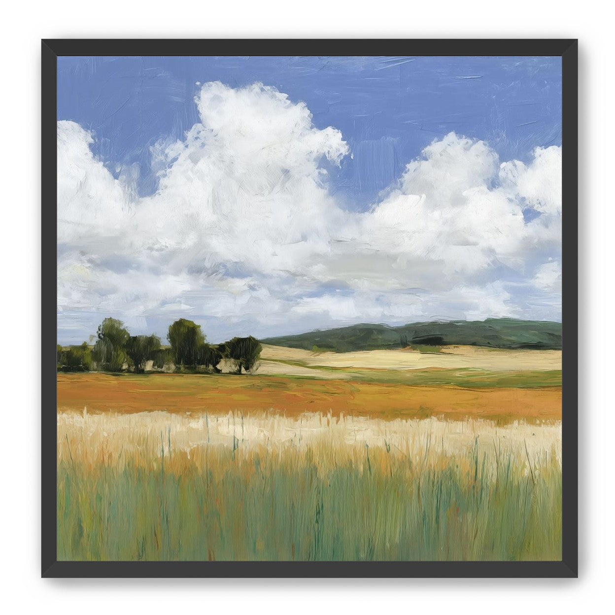 Meadow Under Clouds