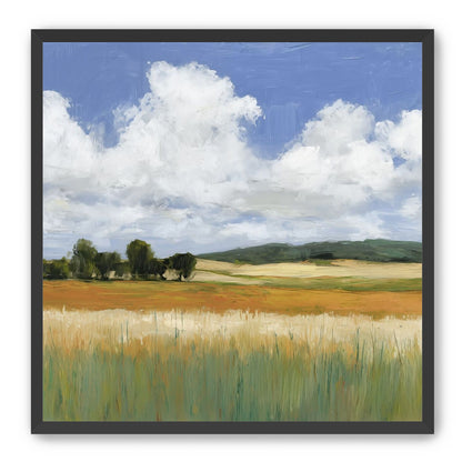 Meadow Under Clouds