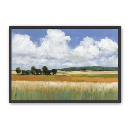 Meadow Under Clouds