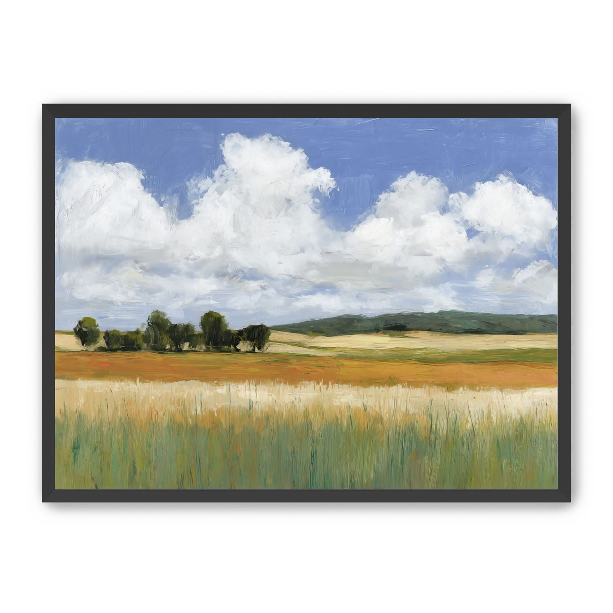 Meadow Under Clouds