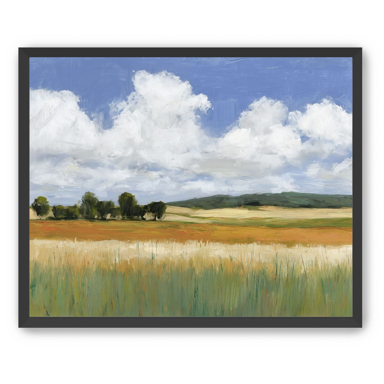 Meadow Under Clouds