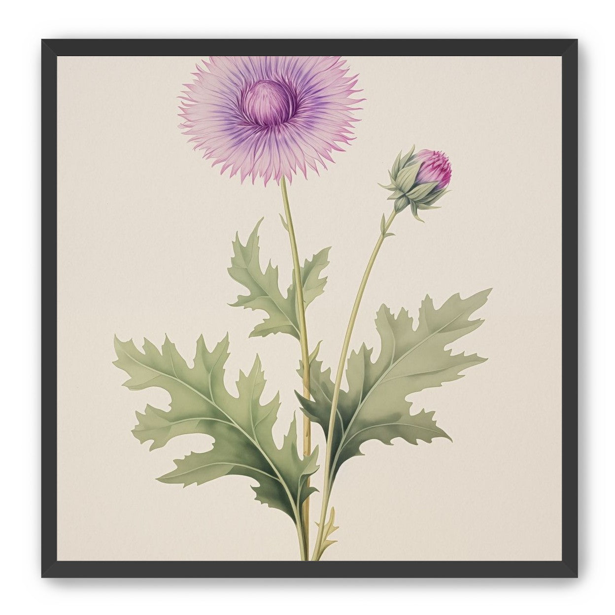 Lavender Radiance