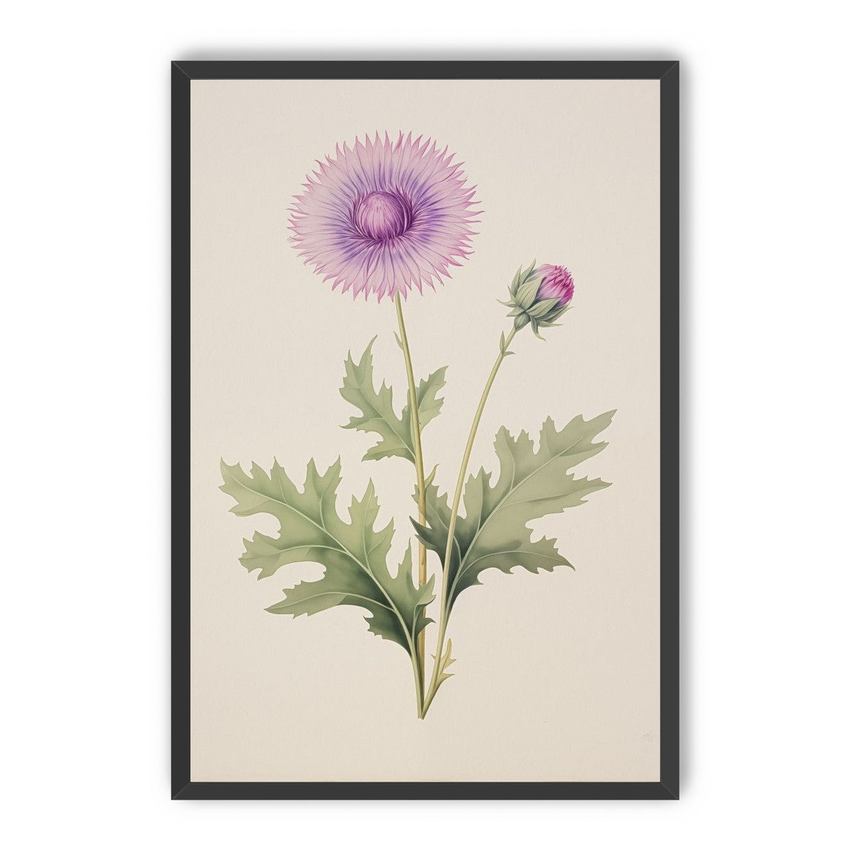 Lavender Radiance