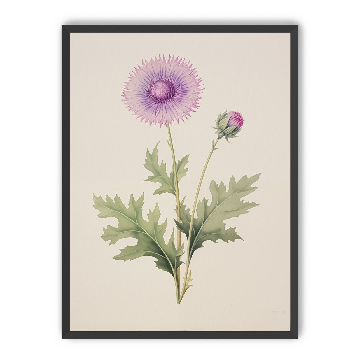 Lavender Radiance