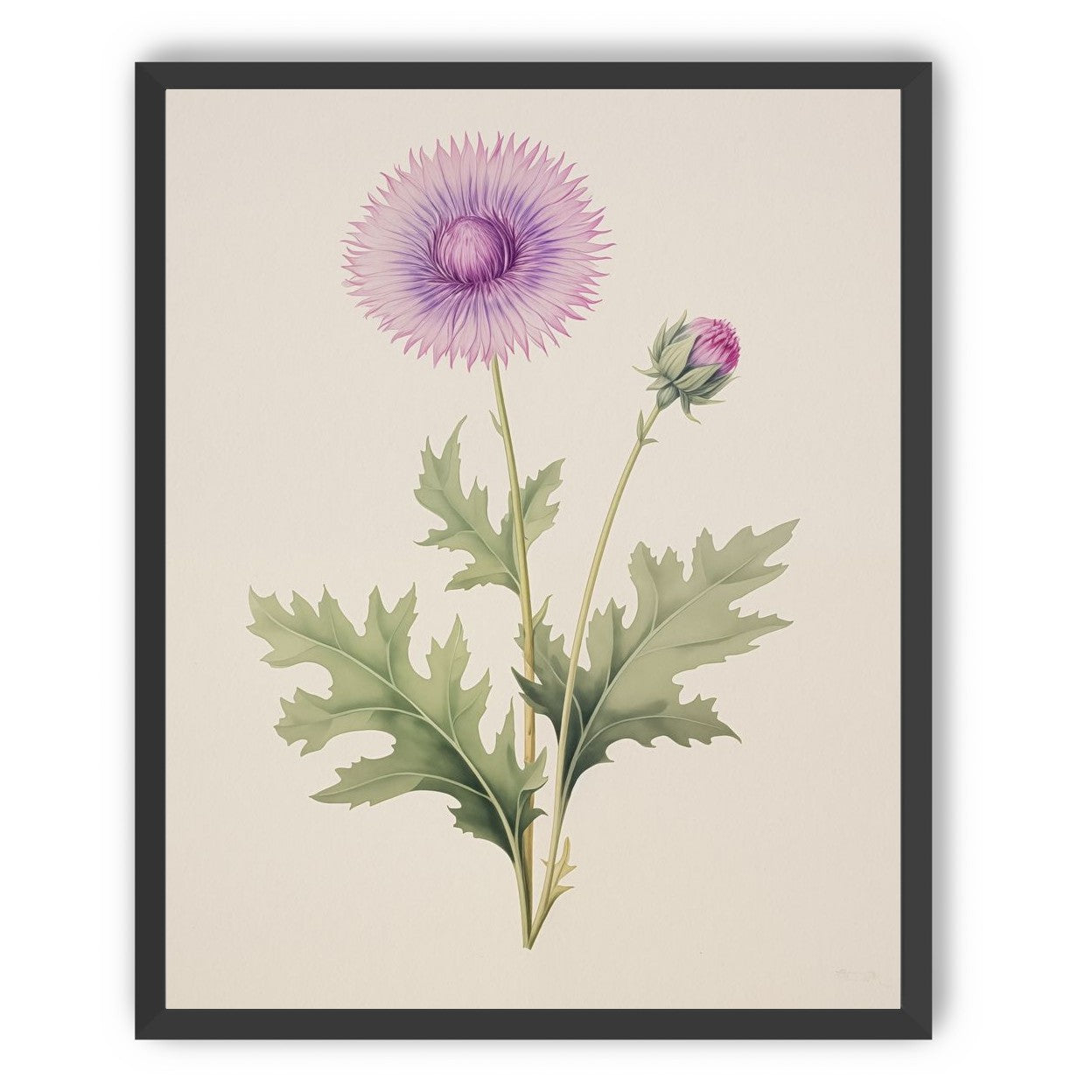 Lavender Radiance
