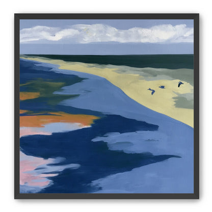 Birds over the pale shore