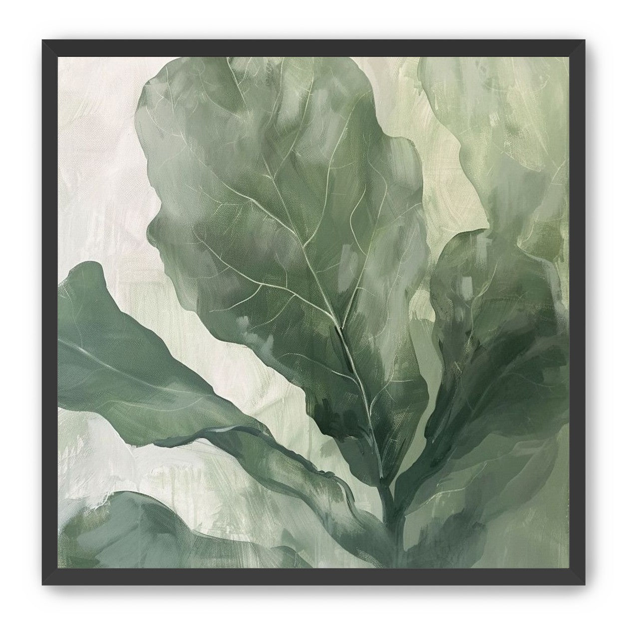 Sage leaves in pale light
