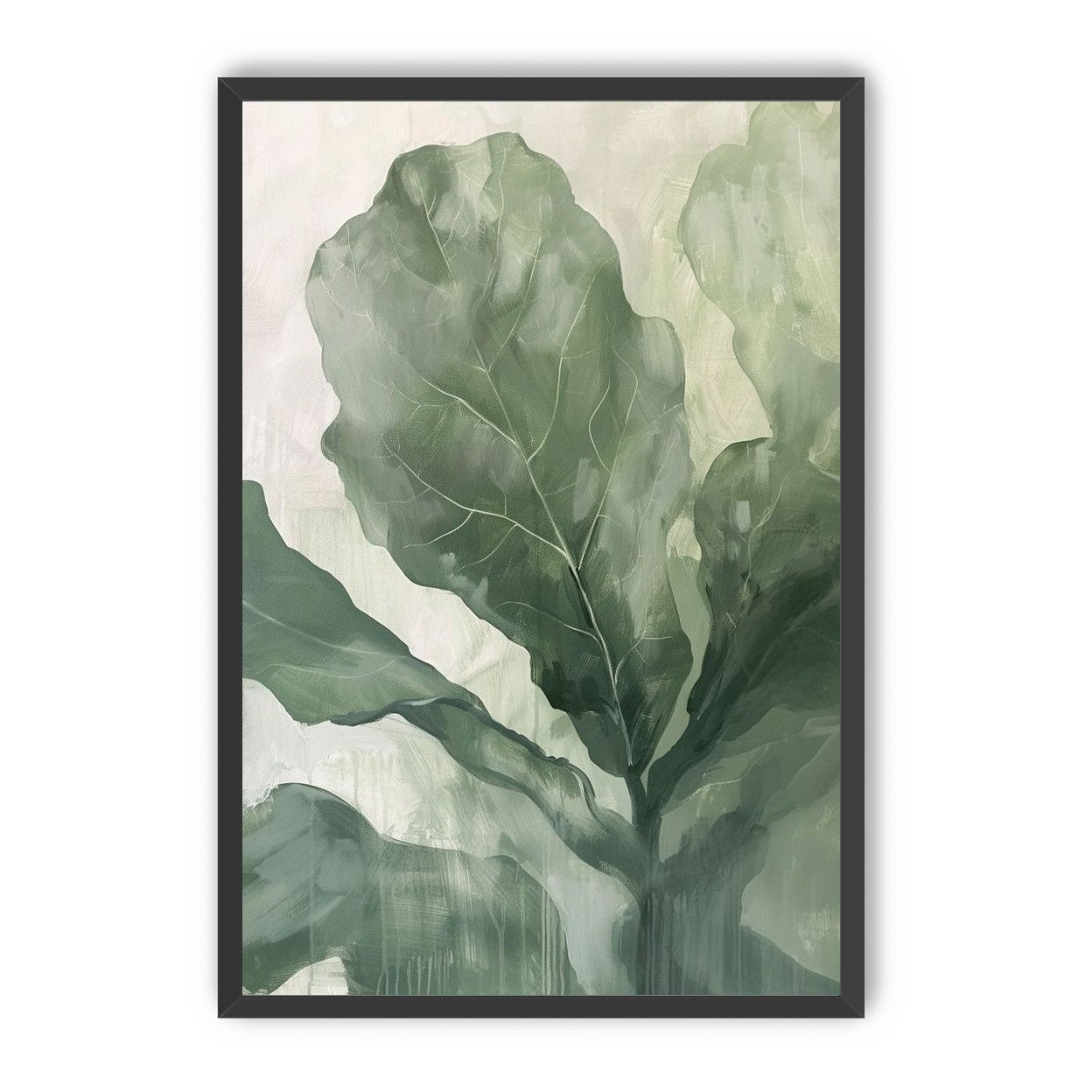 Sage leaves in pale light