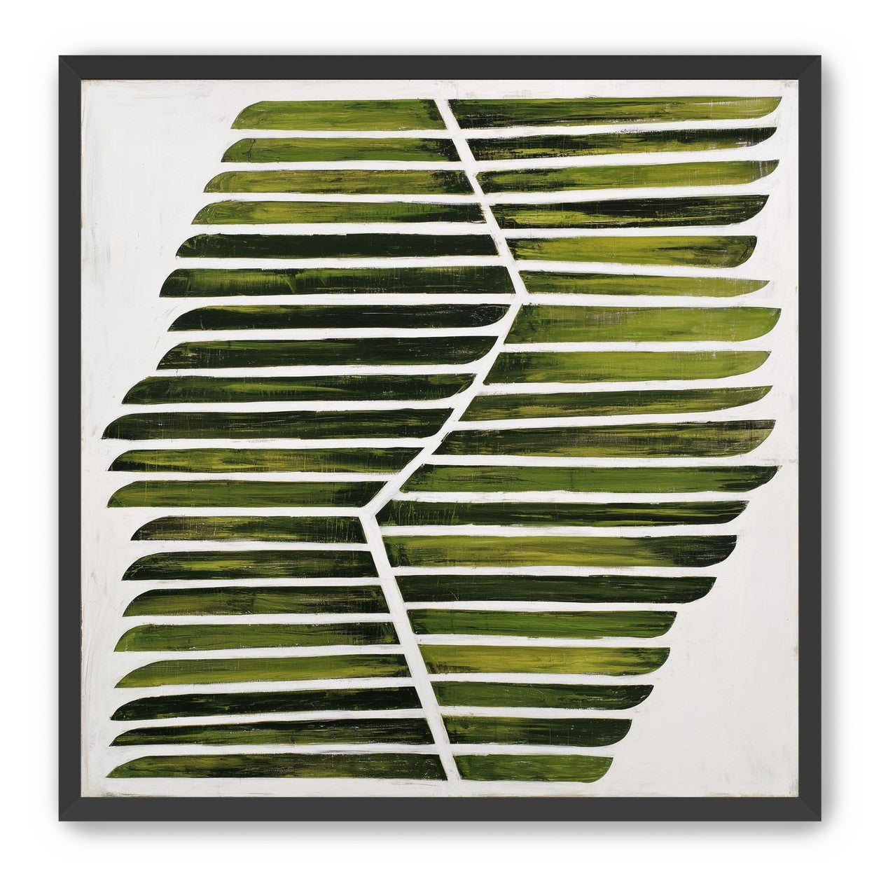 Leaf ribs around a white vein