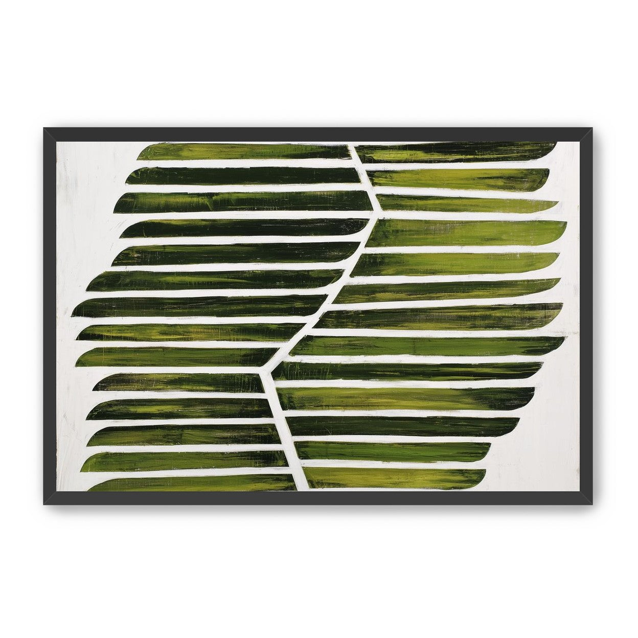Leaf ribs around a white vein
