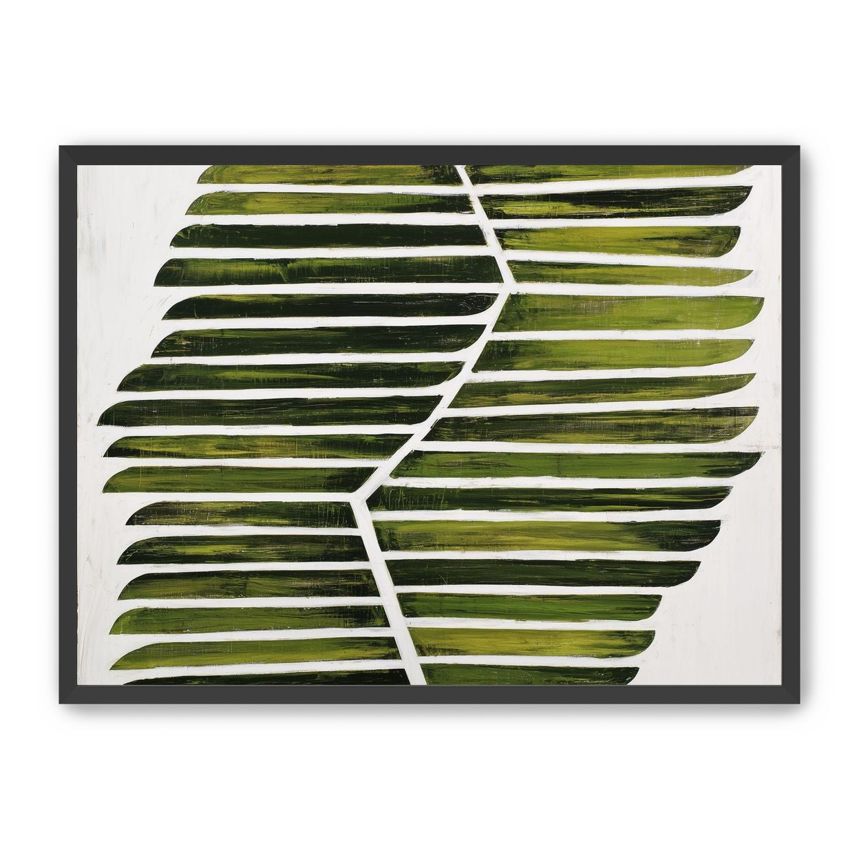 Leaf ribs around a white vein