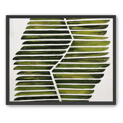 Leaf ribs around a white vein