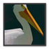 White pelican in deep green