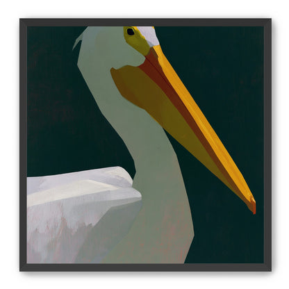 White pelican in deep green