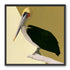 Pelican in quiet balance