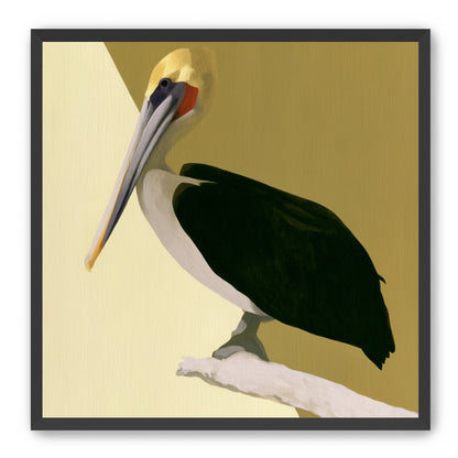 Pelican in quiet balance