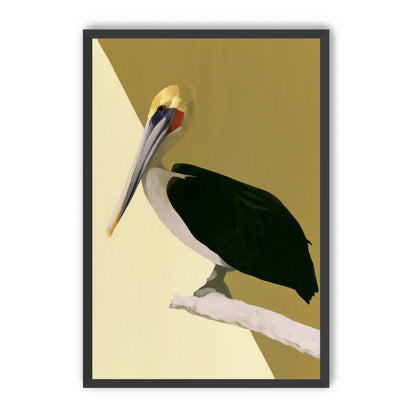 Pelican in quiet balance