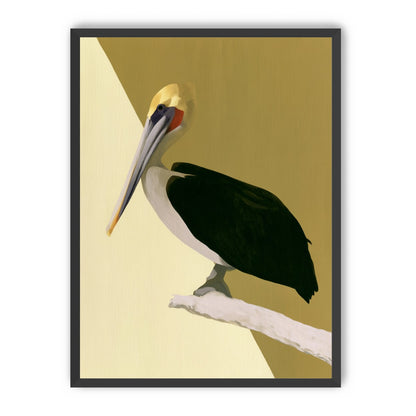Pelican in quiet balance