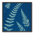 Fern shadows in blue