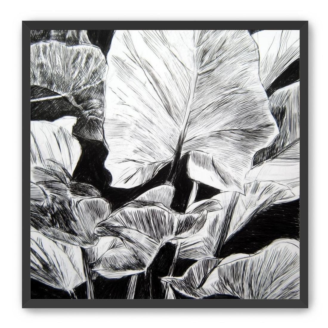 A Cluster of Leaves