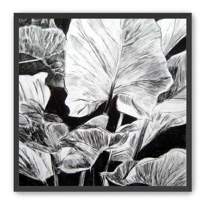 A Cluster of Leaves