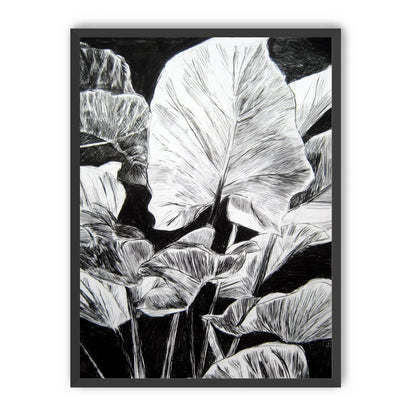 A Cluster of Leaves