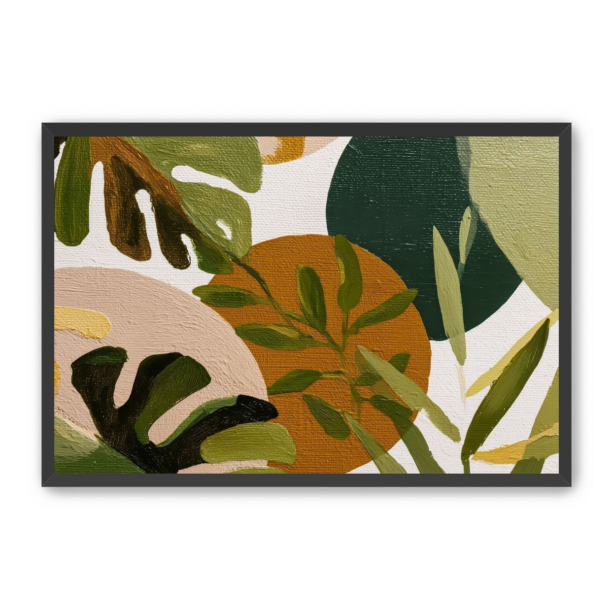 Leaves Turning