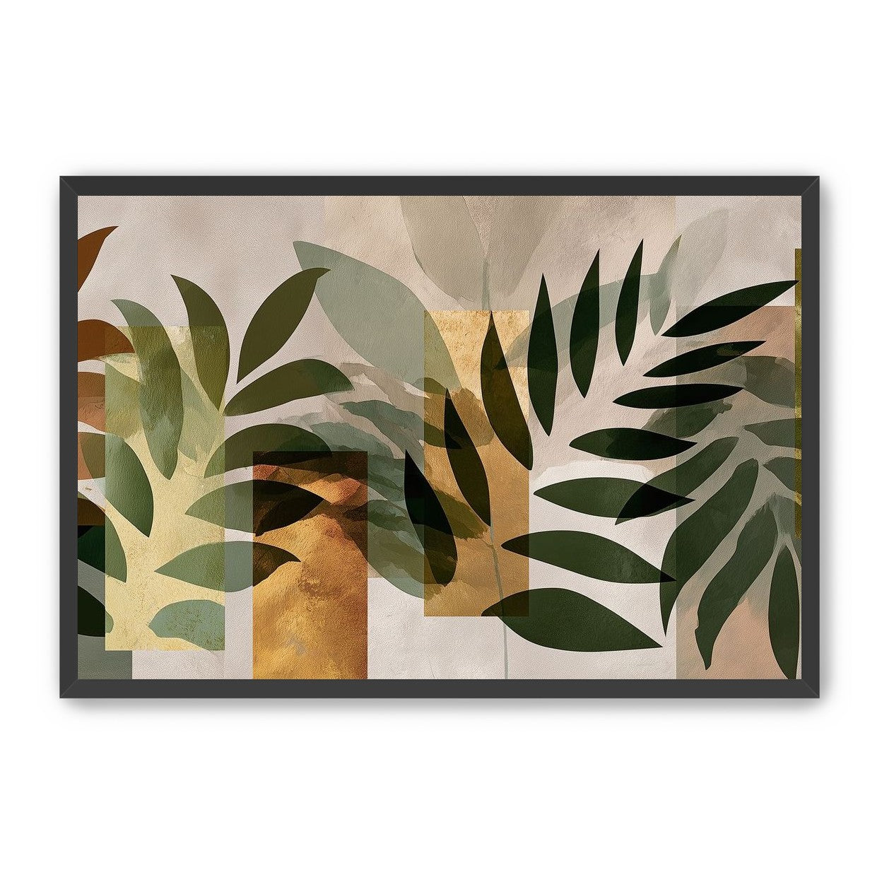 Row of Ferns