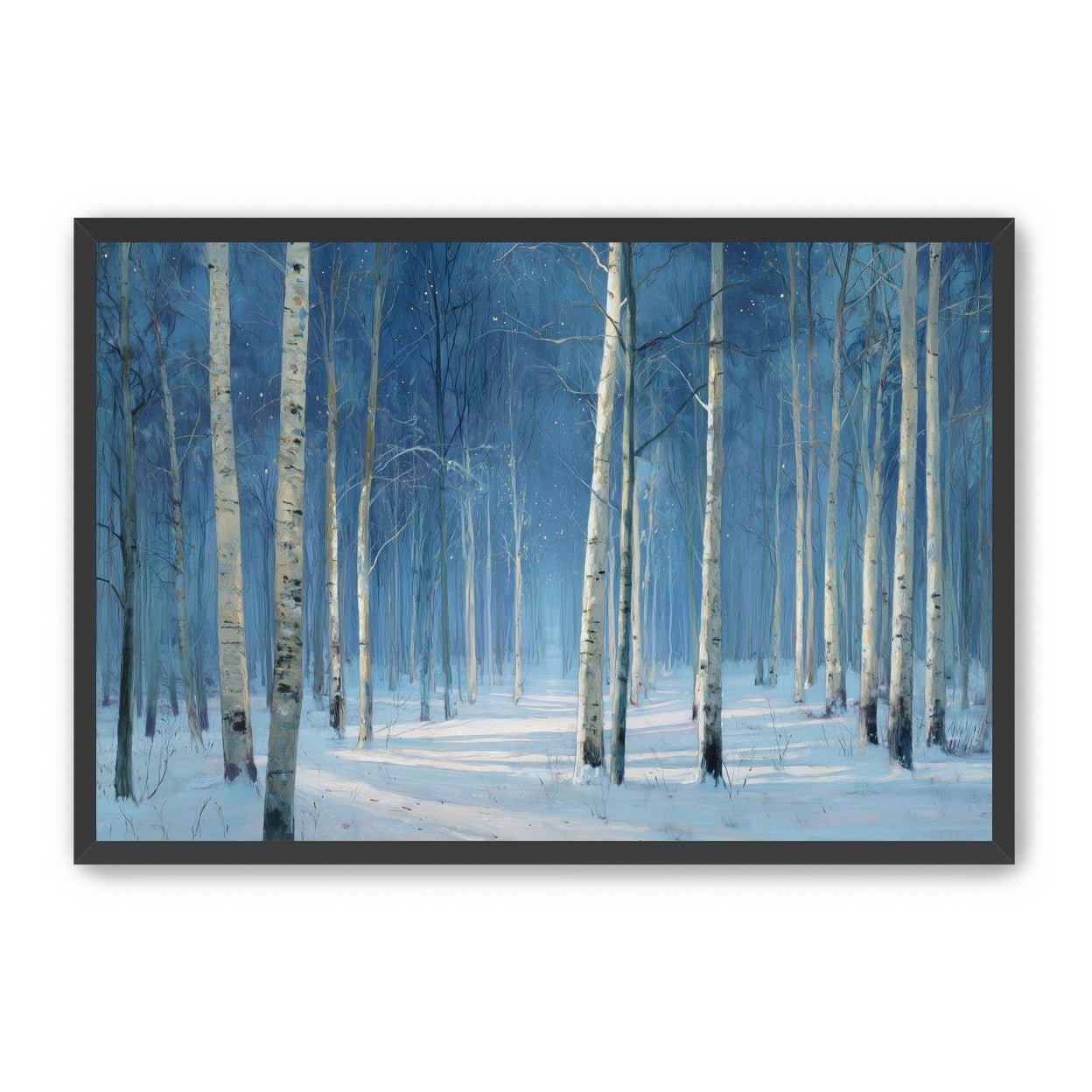 Stillness Between the Trees