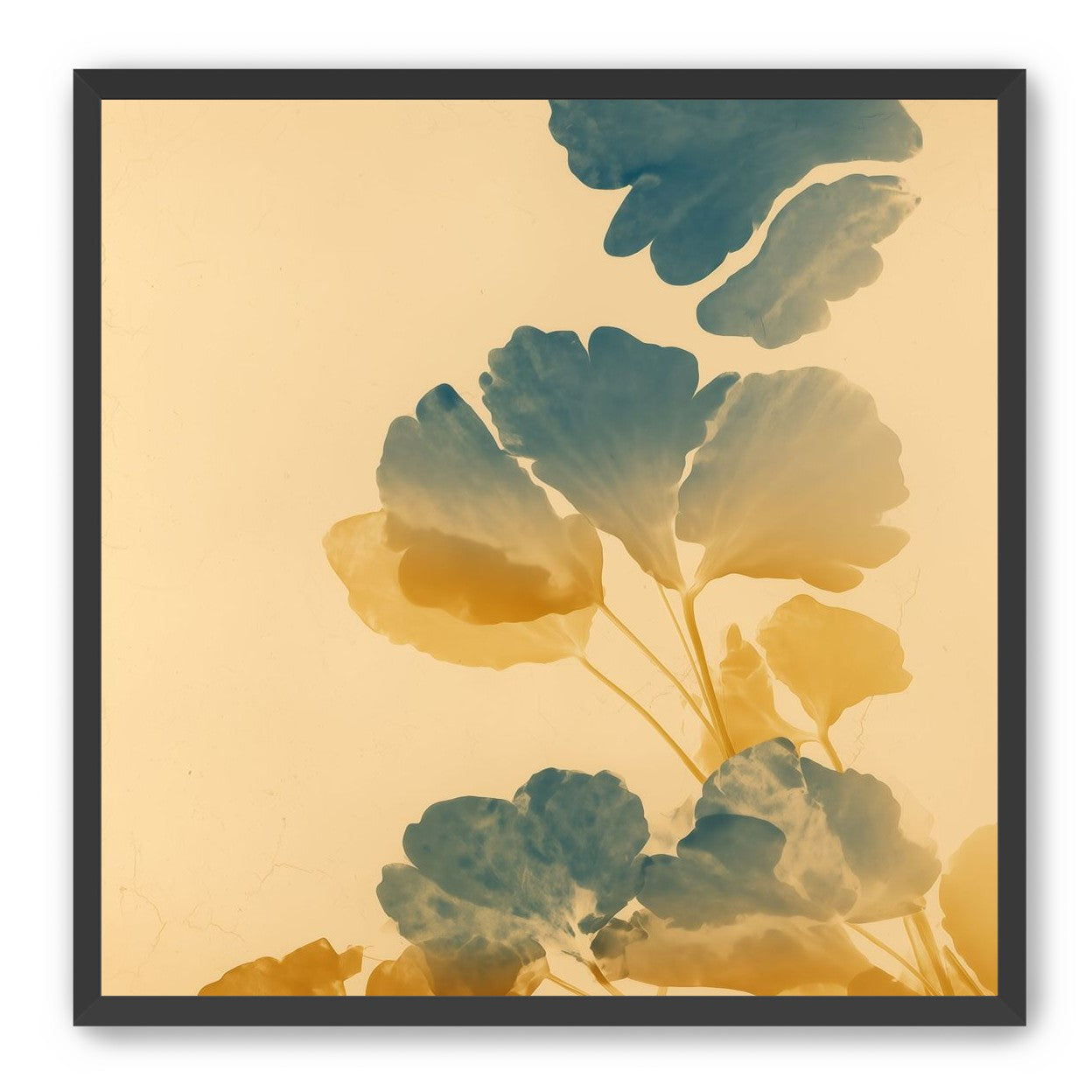 Pressed Matter