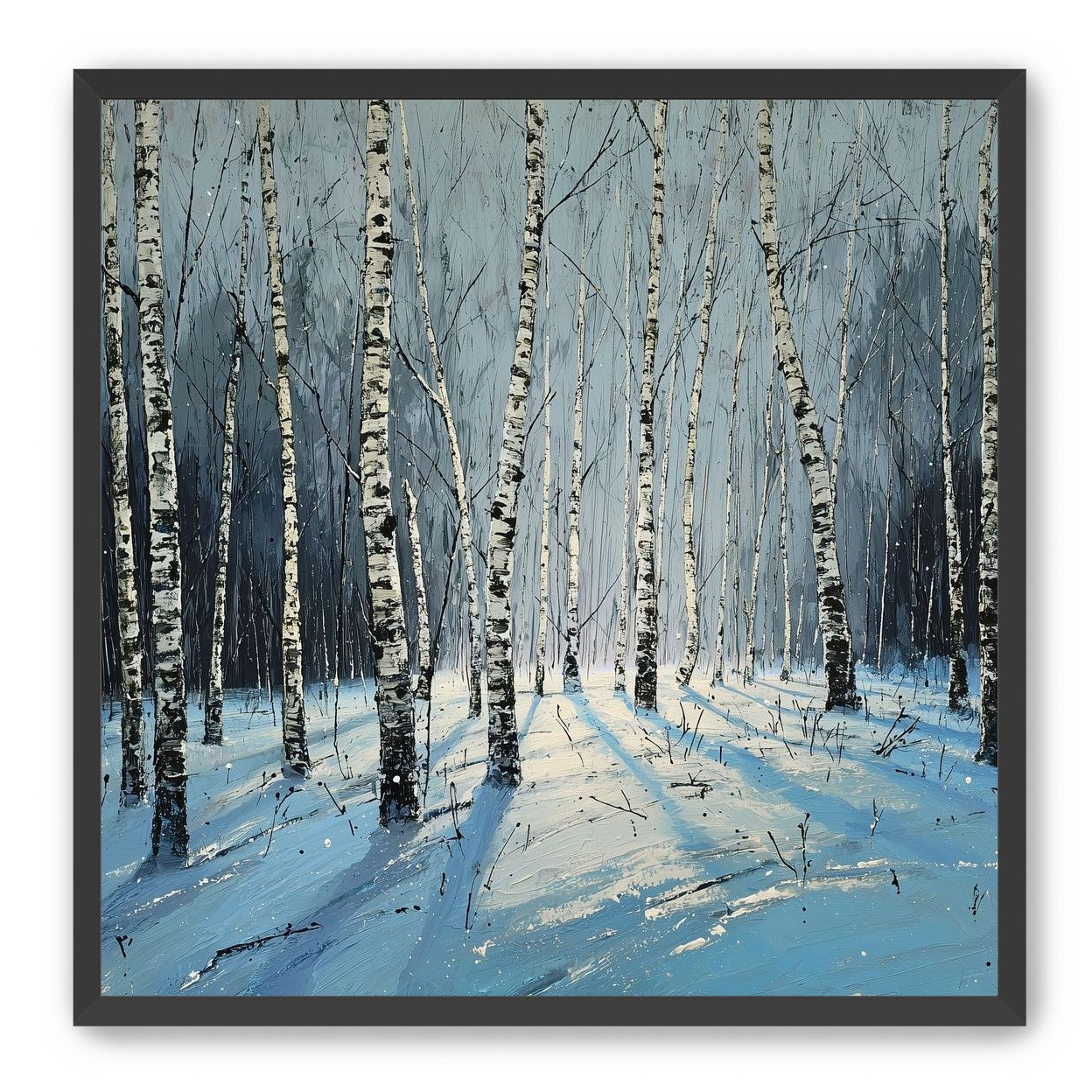 Birch Trees in Winter Light