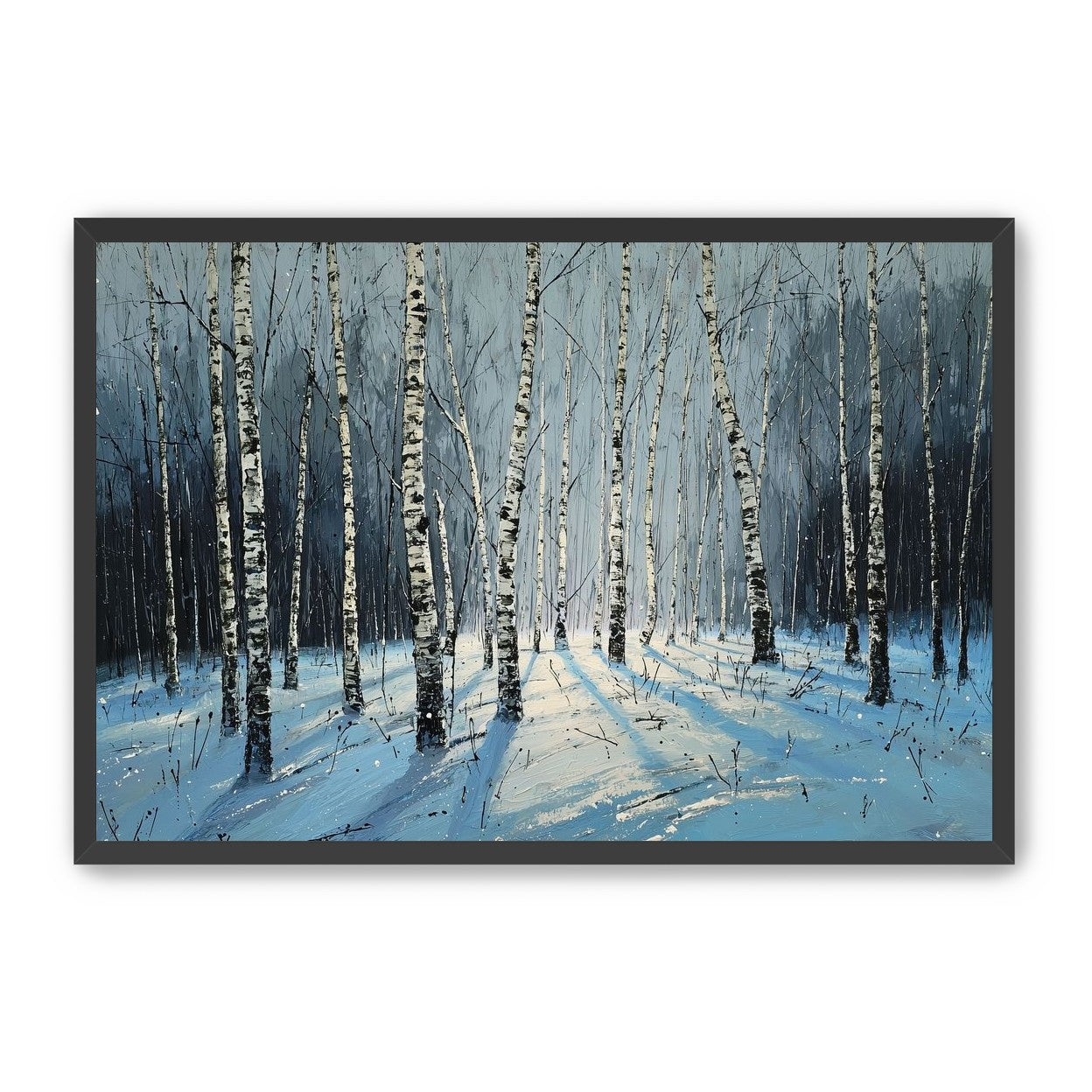 Birch Trees in Winter Light