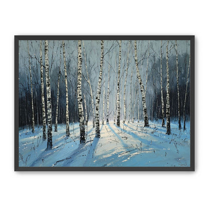 Birch Trees in Winter Light