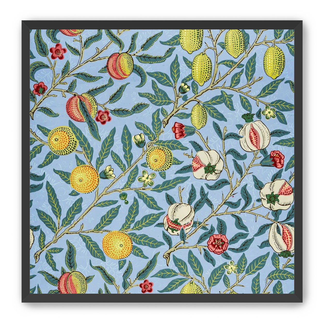 Fruits on the Vine