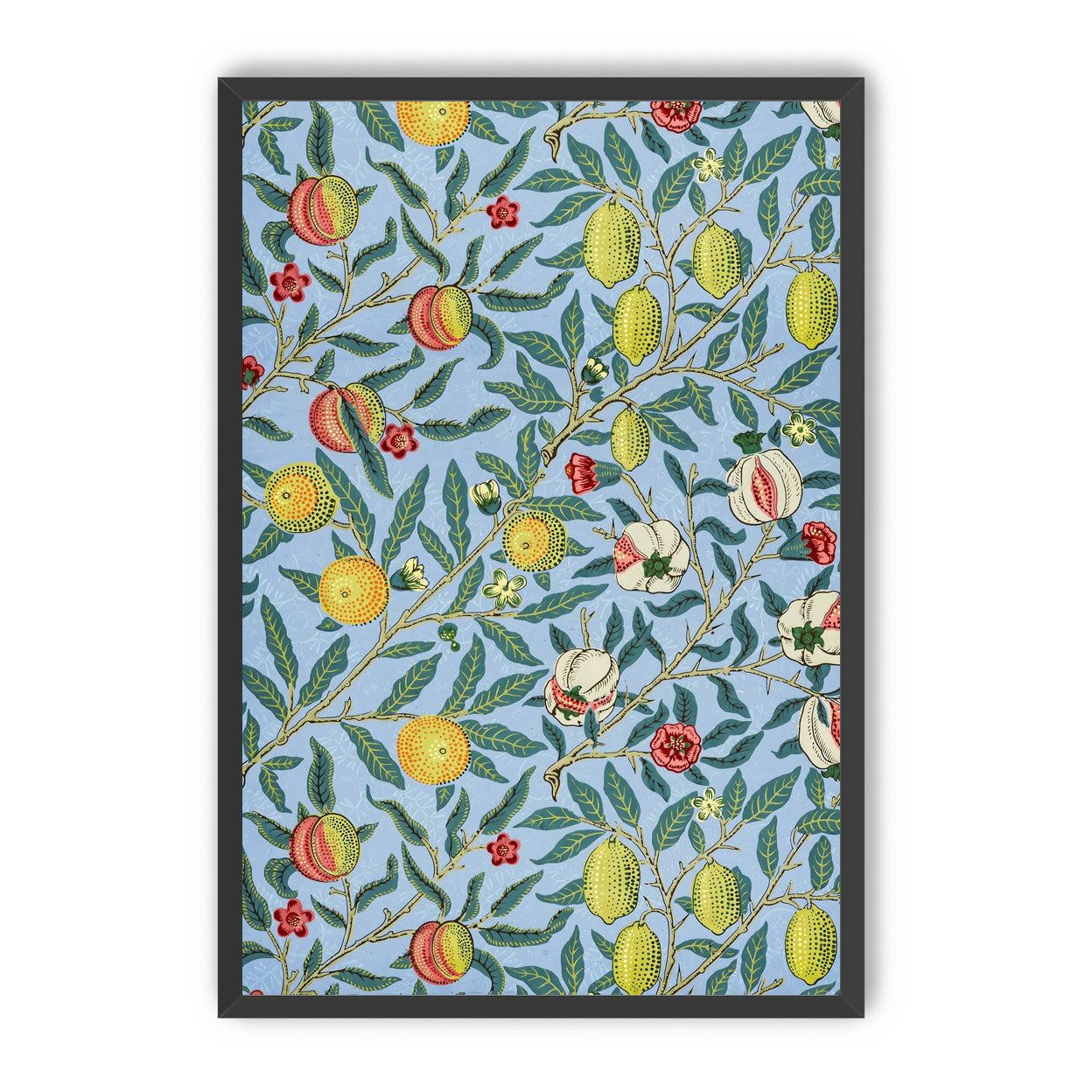Fruits on the Vine