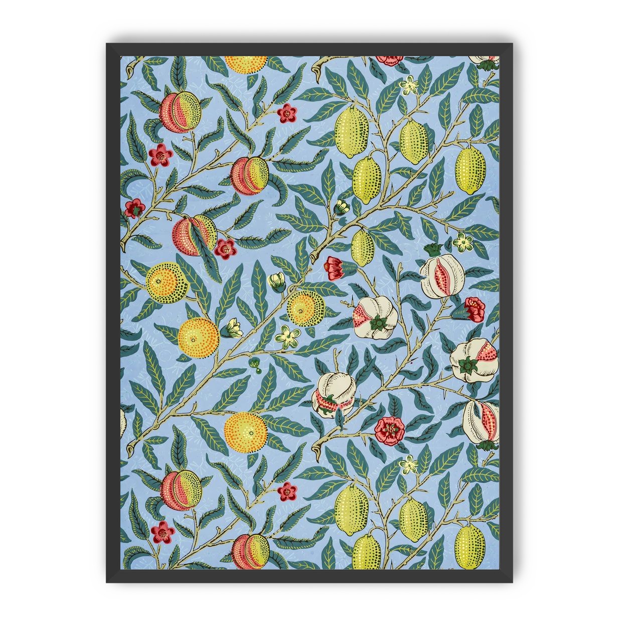 Fruits on the Vine